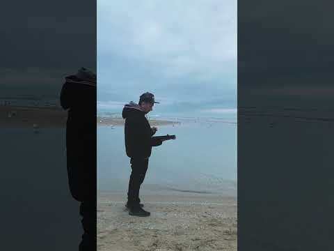 Panik On The Beat - Molemen - Diggin In The Floppies - Dracula's Revenge - Beats by The Lake