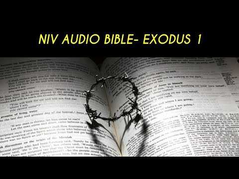 EXODUS 1 NIV AUDIO BIBLE (with text)
