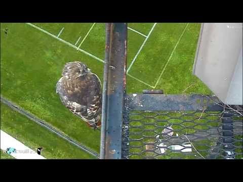 Cornell RTHA  'Rocking On The Ledge...While Band Plays On!'  11:57 am    _9.14.13_