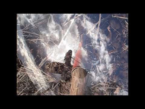 ElektroŠorks in the Garden (2021)