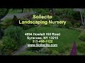 Sollecito Landscaping Nursery -- Reviews -- Syracuse, NY Landscapers Reviews