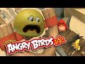 ANGRY BIRDS VR Grapefruit Plays