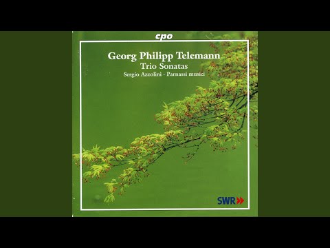 Quartet No. 2 in E Minor, TWV 43:e3: I. Largo