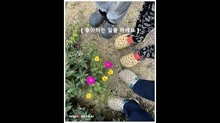 좋아하는 일을 하세요
