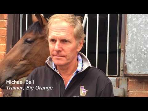 Michael Bell on Big Orange ahead of the Champions Series Qatar Goodwood Cup