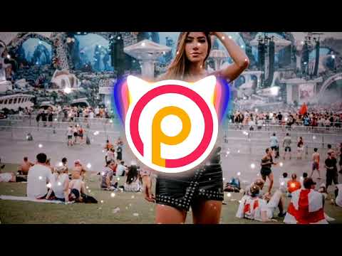 Almanac, WATILA GYN, DANNTZ! - Melhores Bailes do Mundo (Mosaiique VIP)