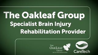 Introduction to the Oakleaf Group