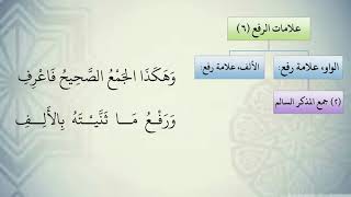 صورة شرح نظم الآجرومية مع التشجير //23//الشيخ محمد محمود الشنقيطي