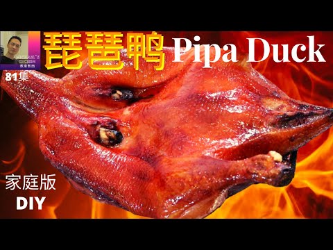 琵琶鸭. Pipa Duck