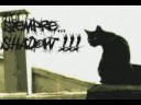 Shadow - Daniel F