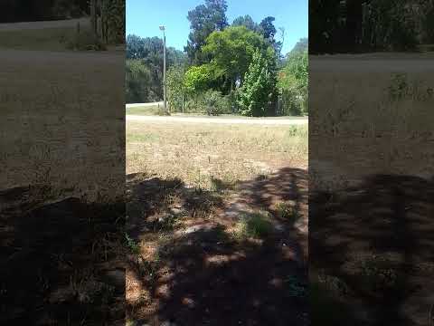 Terreno en balneario Brisas del Plata