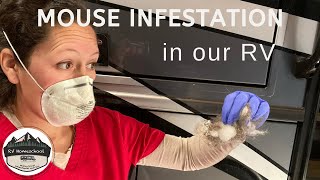 Mouse Infestation in our RV!! - Now What? - How to Clean and Eliminate - RV Homeschool