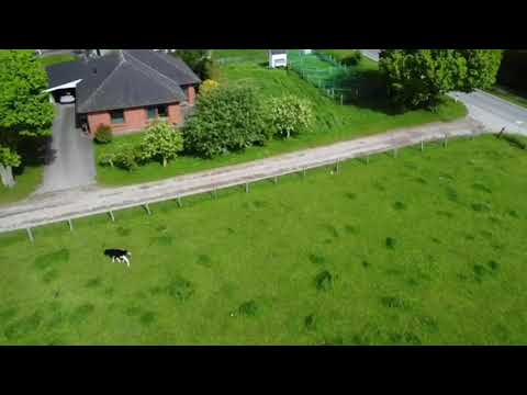 Video 3 aus  Hof Belvedere an der Ostsee