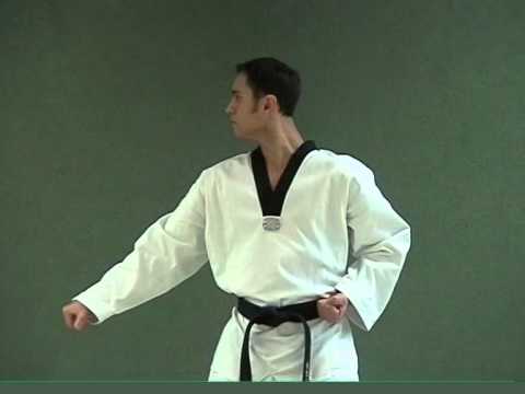 Taekwondo Poomsae Basic Techniques