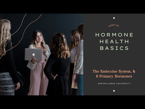 Hormonal Health Series, Week One: Advocate Your Health, the Endocrine System, & 8 Primary Hormones