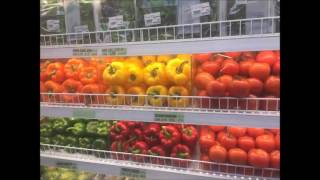 fresh value mas