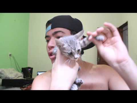 巴西的TCHUMORULENDI公司 (TCHUMORULENDI NO BRASIL)