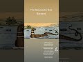 The Gloucester Sea Serpent is remembered in texts and on a mural.