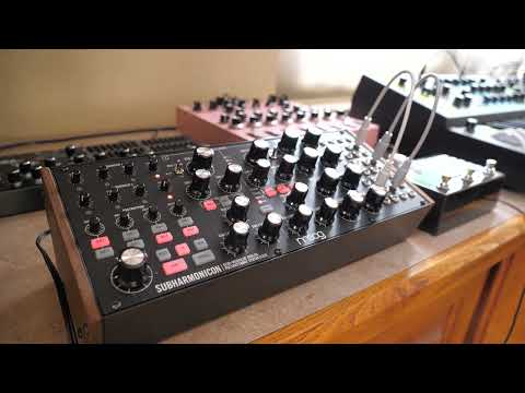 Moog Subharmonicon Improvisation with Empress Zoia Ghost Delay Patch