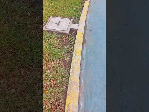 Visité el Parque de Amarilis en Huánuco, Perú 🇵🇪🏞️☀️ #huánuco #peru #nature #turismo