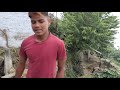 My Village Gram Kankote Almora Salt Manila Uttarakhand Kumaon