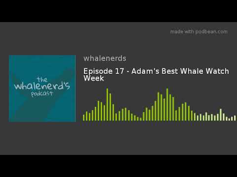 Episode 17 - Adam's Best Whale Watch Week