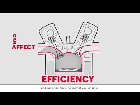 Motul Care System - Fuel System Clean
