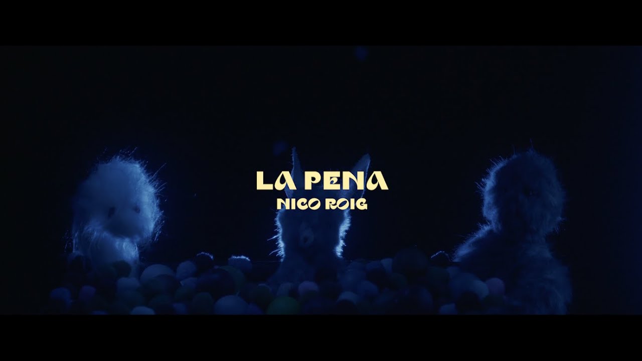 Nico Roig - La pena