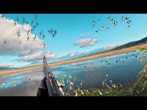 COVERED UP in Mountain Ducks (Limited Out) NONSTOP Ducks in the Decoys