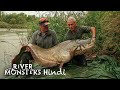 River Monsters Hindi S1E4 European Maneater Ft Wels Catfish Ep 4