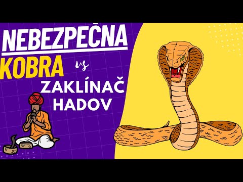 Zaklínač hadov vs nebezpečná kobra ???? #shorts