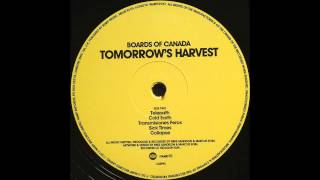 Palace Posy (Boards of Canada Guitar Cover)