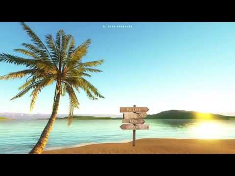 PA LOS GUSTOS LOS COLORES 2 ❌[FIESTERO REMIX]❌ DJ ALEX❌ BRITYAGO + KHEA ft JAVIIELO