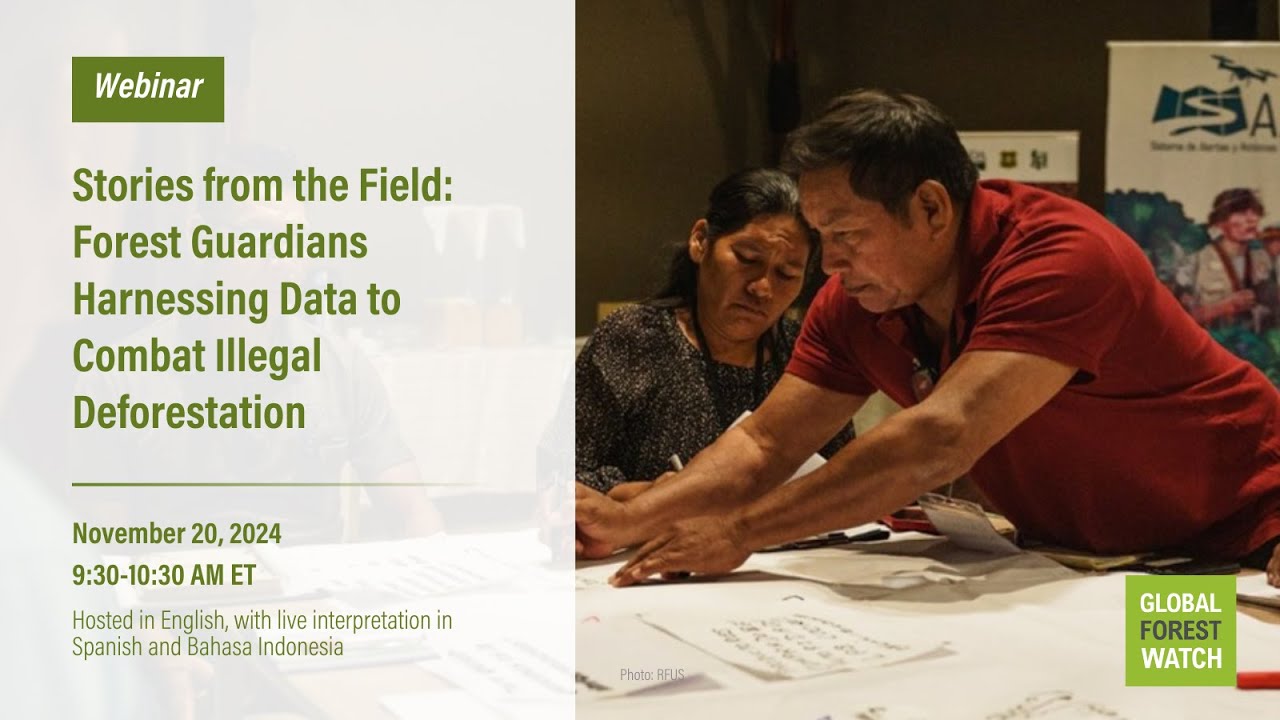 Forest Guardians Harnessing Data to Combat Illegal Deforestation (Bahasa Indonesia)