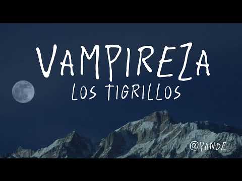 los tigrillos - Vampiresa (letra/lyrics)