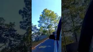 Download lagu happy makar sankranti 🪁🪁💓😍💯💛💜 #pahadi #garhwali #jaidevbhoomi #jai uttrakhand mp3