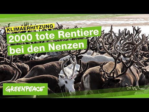 Wenn der Permafrost in Russland taut