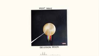 Meat Wave - Cosmic Zoo