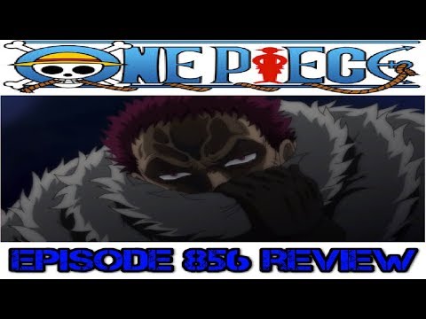 Animeguy300 One Piece Amino