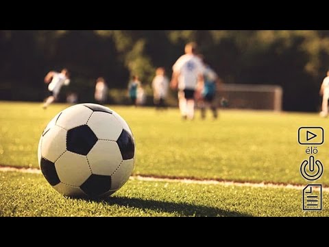 Harta SE - Kalocsai FC