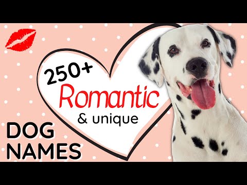 250+ ❤ Romantic Dog Names sure to make you Cry!😭 | Unique Male and Female Dog Names