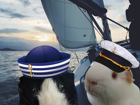 Mazury - co warto tu zobaczyć? Jeziora, miasta i atrakcje turystyczne (Świnki na wakacjach)