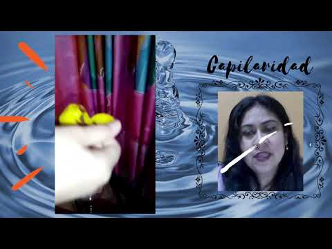 Propiedades del agua capilaridad y tensión superficial