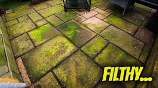 Preview of TOO MUCH ALGAE! Trees Overhanging this Garden Destroyed the Outside Space so we Pressure Washed it!.