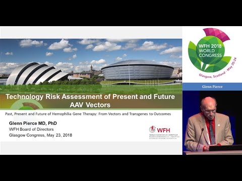 Technology Risk Assessment of Present and Future AAV Vectors