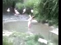 Flamingo Fight