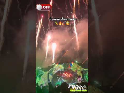 festival do abacaxi em Barcarena para