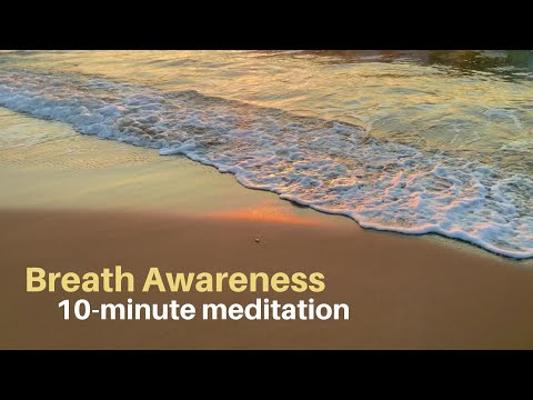 MBSR Guided Practice: Awareness of Breath Meditation