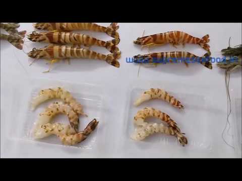 download lagu mp3 mp4 Kinds Of Prawns, download lagu Kinds Of Prawns gratis, unduh video klip Kinds Of Prawns