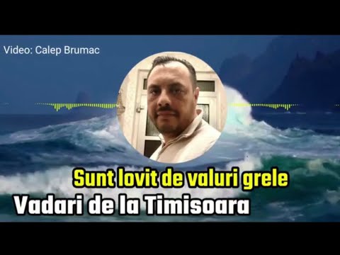 Vadari de la Timisoara - sunt lovit de valuri grele ( official Video ) 2022